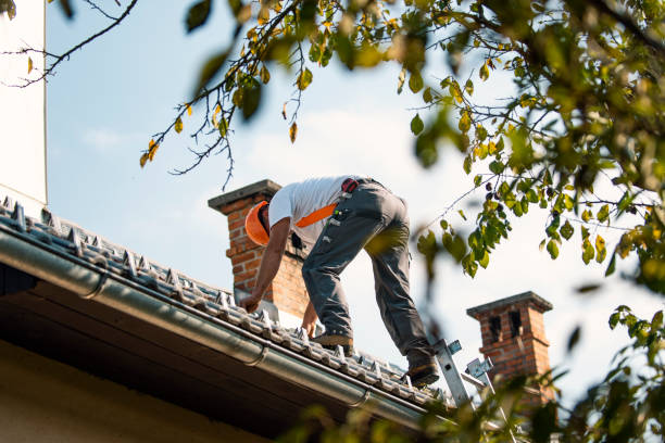 Best Roof Maintenance and Cleaning  in Coral Hills, MD